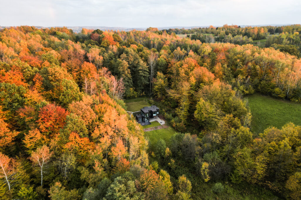 Polska Złota Jesień w Forrest Space